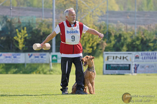 Airedale Terrier Baro von Haus Schirmer